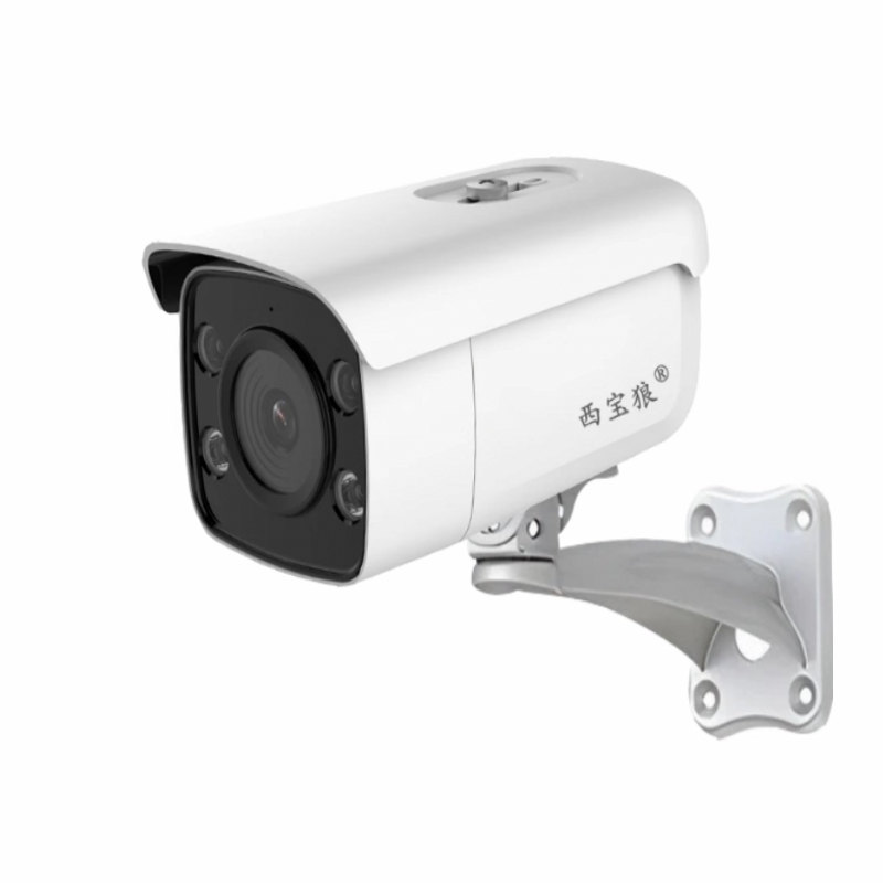 500万有线带AI分析7大功能-西宝狼